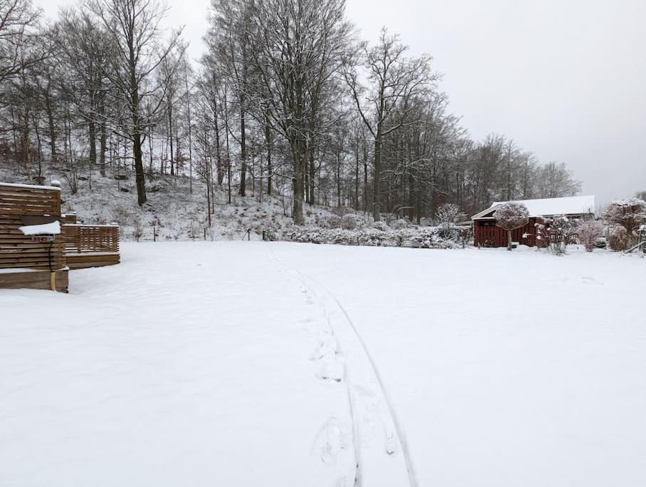 Beautiful And Cosy House Near The Lake Olofström Exterior foto